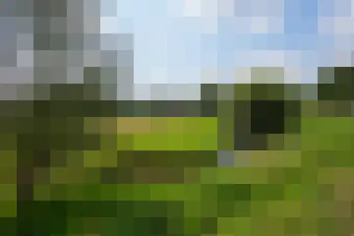 Bulkemsbroek 21 Simpelveld thumbnail 57