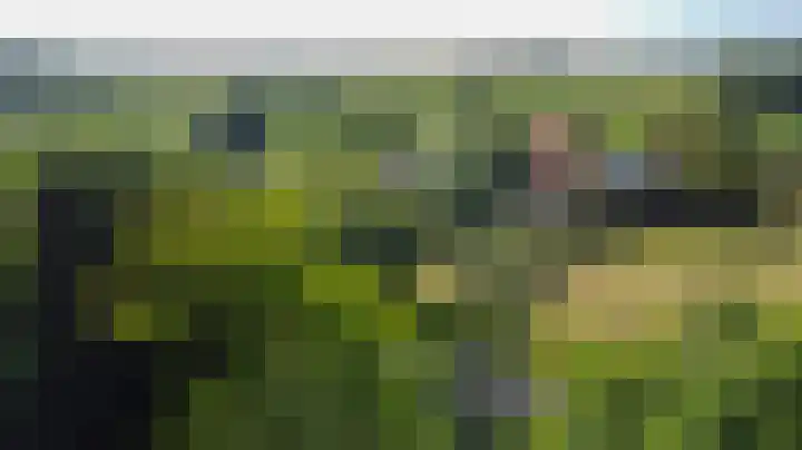 Bulkemsbroek 21 Simpelveld thumbnail 58