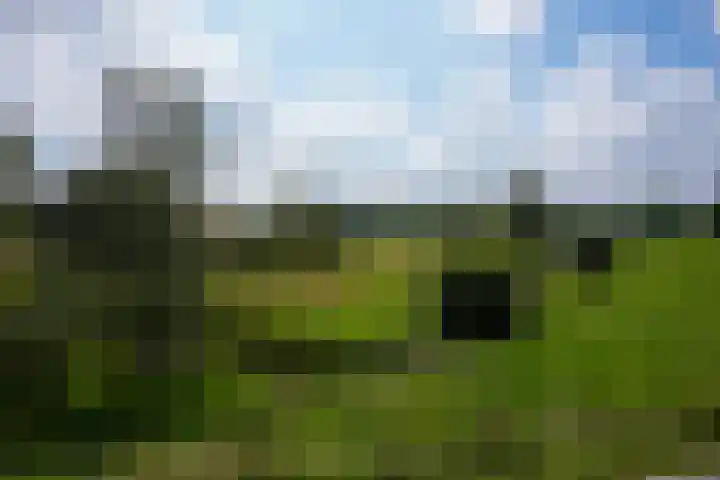 Bulkemsbroek 21 Simpelveld thumbnail 59
