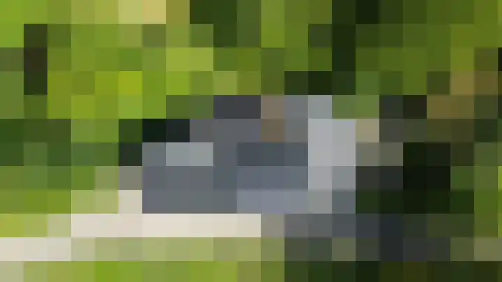 Bulkemsbroek 21 Simpelveld thumbnail 62