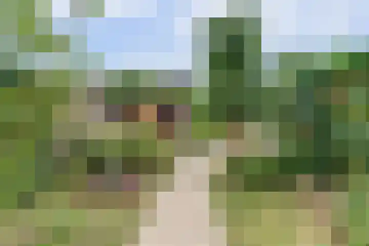 Bulkenlaan 10 Gameren thumbnail 31