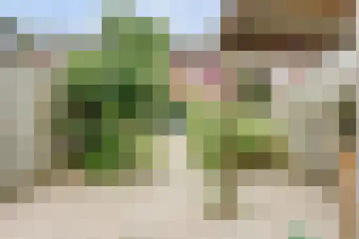 Bulkenlaan 10 Gameren thumbnail 34