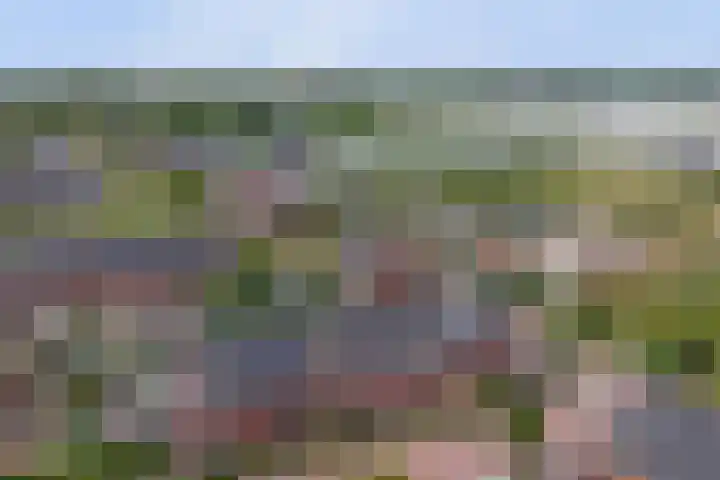 Bulkenlaan 10 Gameren thumbnail 39