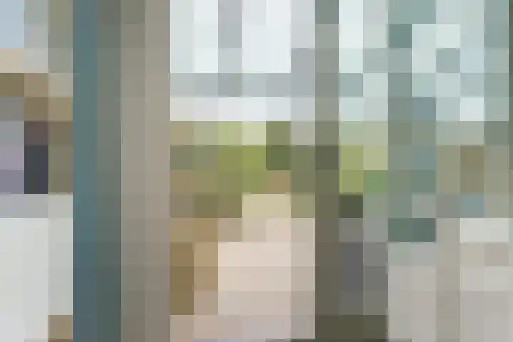 Bulkenlaan 10 Gameren thumbnail 5
