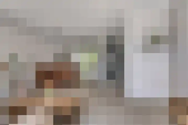 Bulkenlaan 31 Gameren thumbnail 10
