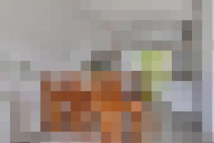 Bulkenlaan 31 Gameren thumbnail 11