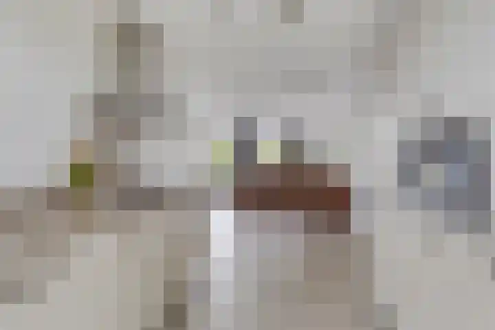 Bulkenlaan 31 Gameren thumbnail 14
