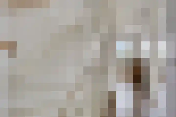 Bulkenlaan 31 Gameren thumbnail 15