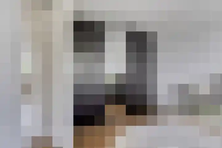 Bulkenlaan 31 Gameren thumbnail 17