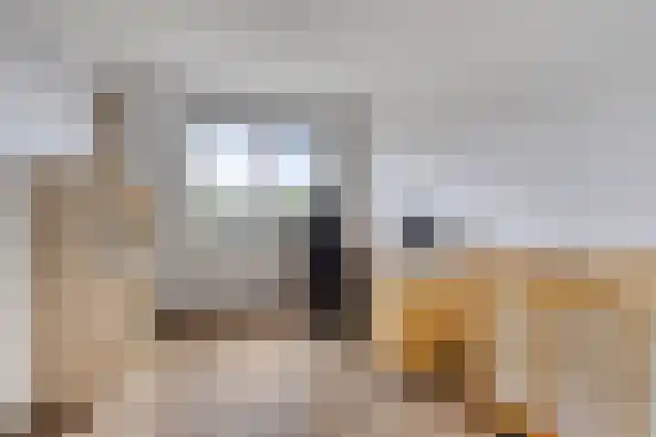 Bulkenlaan 31 Gameren thumbnail 19