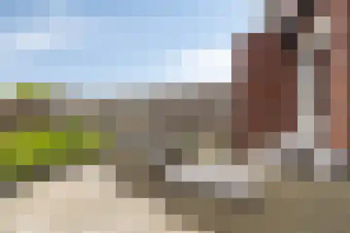 Bulkenlaan 31 Gameren thumbnail 25