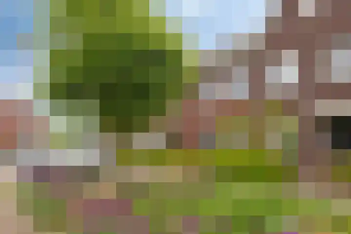 Bulkenlaan 31 Gameren thumbnail 29