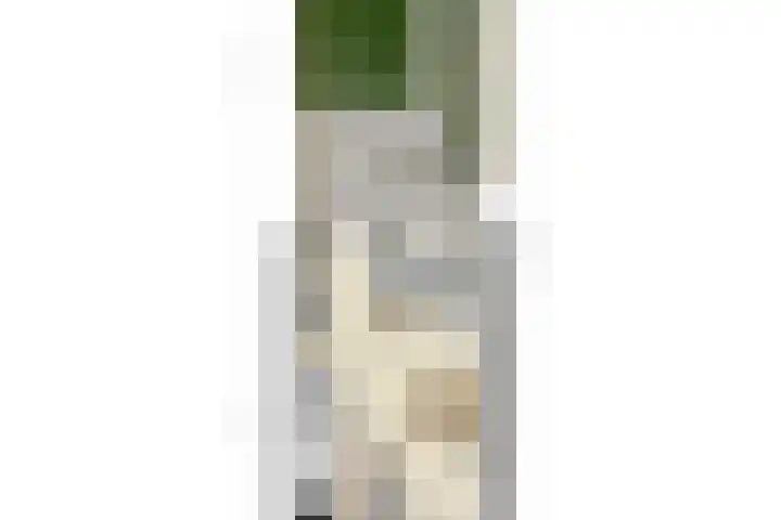 Bulkenlaan 31 Gameren thumbnail 34