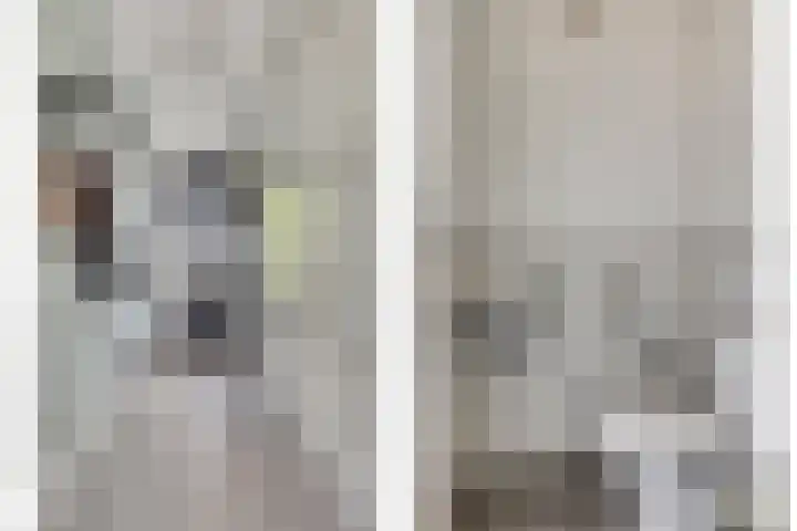 Bulkenlaan 31 Gameren thumbnail 6