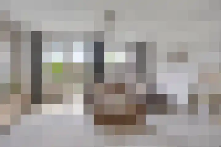 Bulkenlaan 31 Gameren thumbnail 8