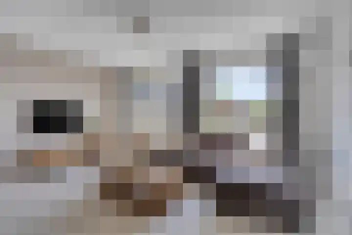 Bulkenlaan 31 Gameren thumbnail 9