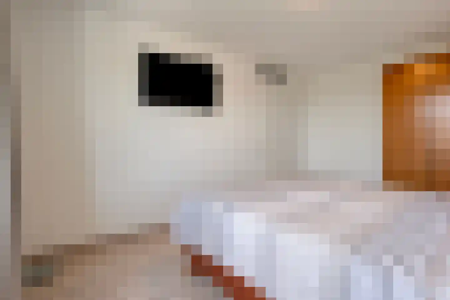 Bulkenlaan 35 Gameren thumbnail 20