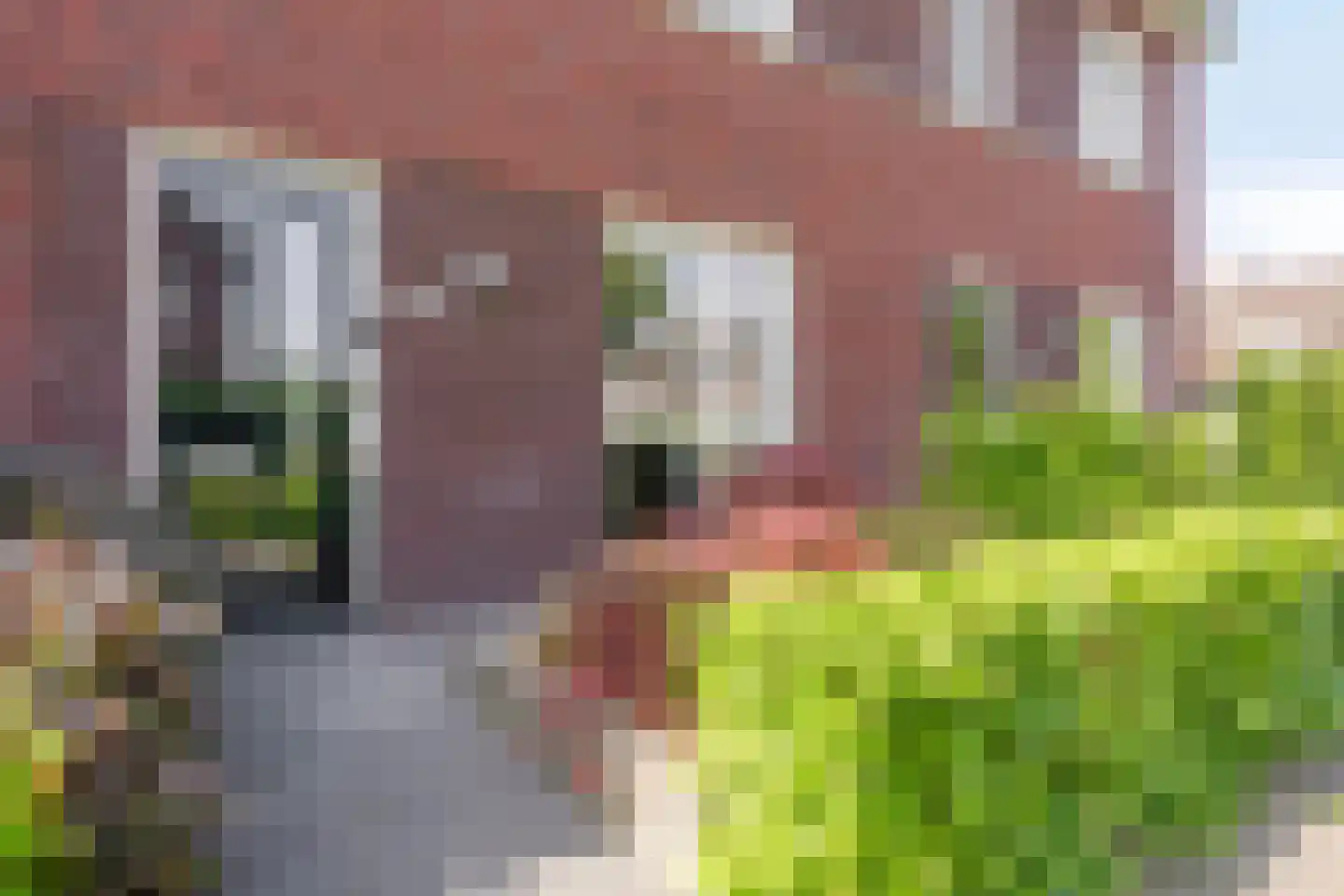 Bulkenlaan 35 Gameren thumbnail 40