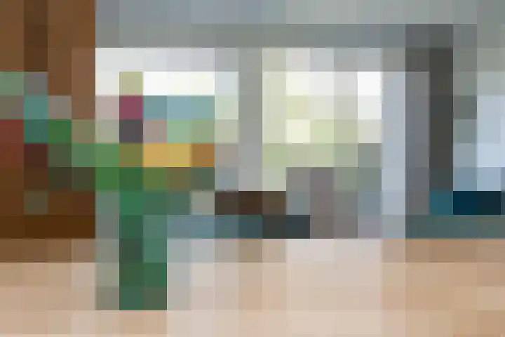 Bulkenlaan 55 Gameren thumbnail 18