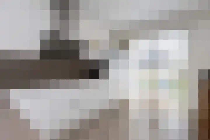 Bulkenlaan 55 Gameren thumbnail 19