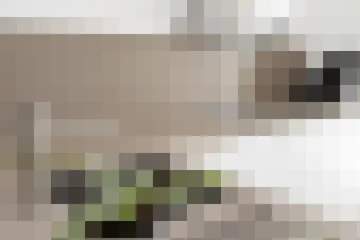 Bulkenlaan 55 Gameren thumbnail 22