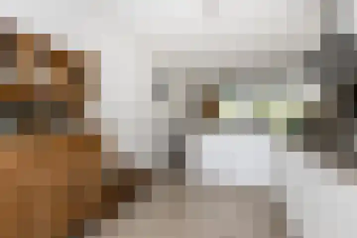 Bulkenlaan 55 Gameren thumbnail 25