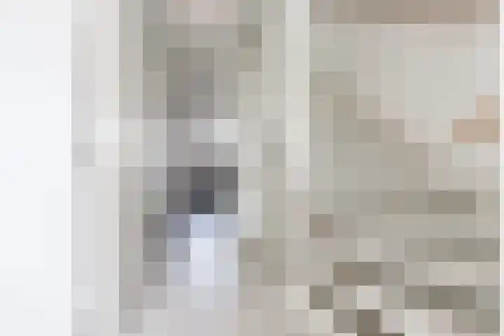 Bulkenlaan 55 Gameren thumbnail 27