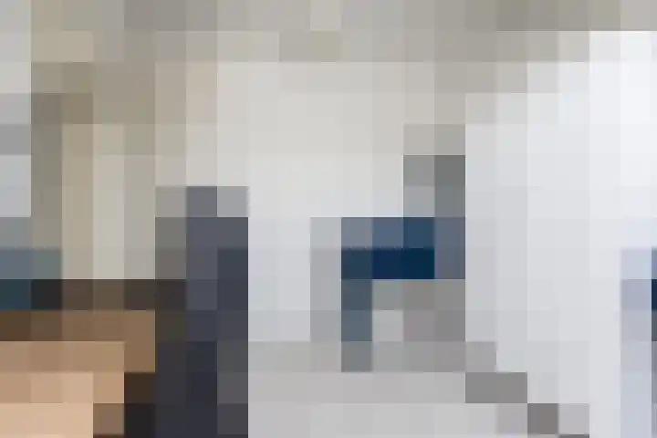 Bulkenlaan 55 Gameren thumbnail 44