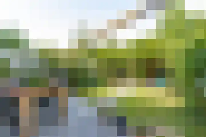 Bulkenlaan 55 Gameren thumbnail 48