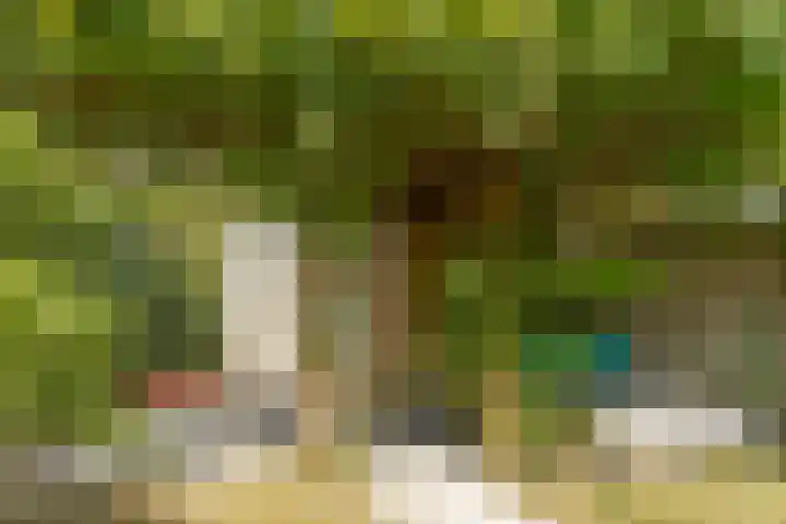 Bulkenlaan 55 Gameren thumbnail 51