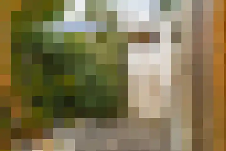 Bulkenlaan 55 Gameren thumbnail 54