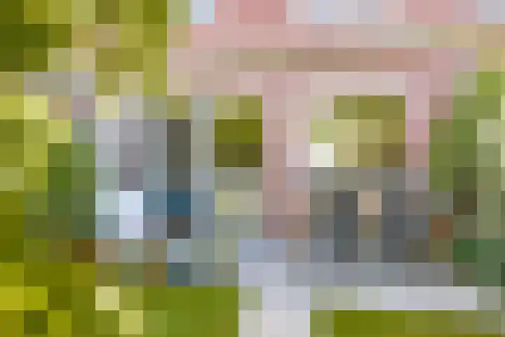 Bulkenlaan 55 Gameren thumbnail 56