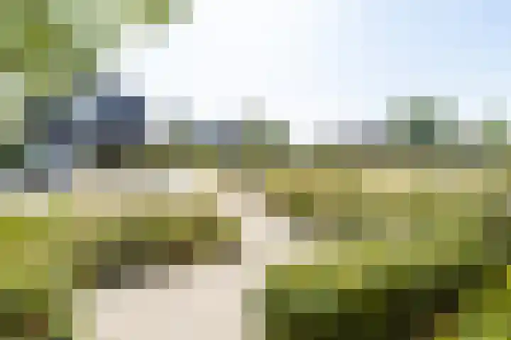 Bulkenlaan 55 Gameren thumbnail 61