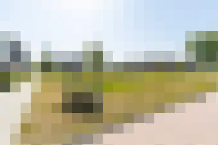 Bulkenlaan 55 Gameren thumbnail 62