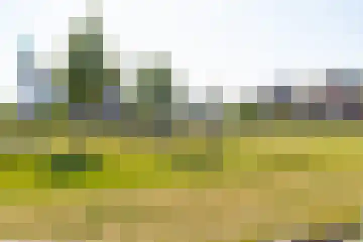 Bulkenlaan 55 Gameren thumbnail 63
