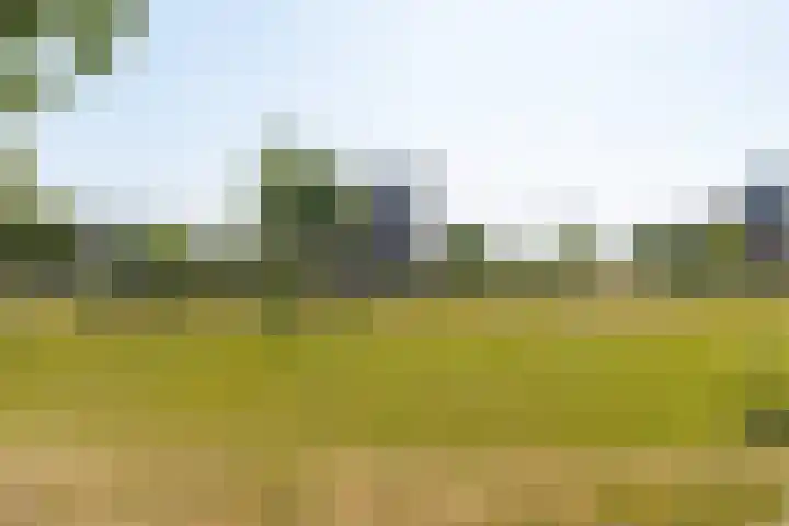 Bulkenlaan 55 Gameren thumbnail 64
