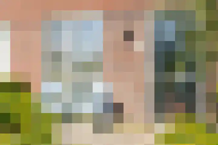 Bulkenlaan 55 Gameren thumbnail 7