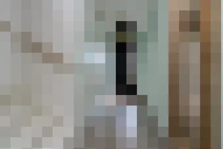 Bulkenlaan 55 Gameren thumbnail 8