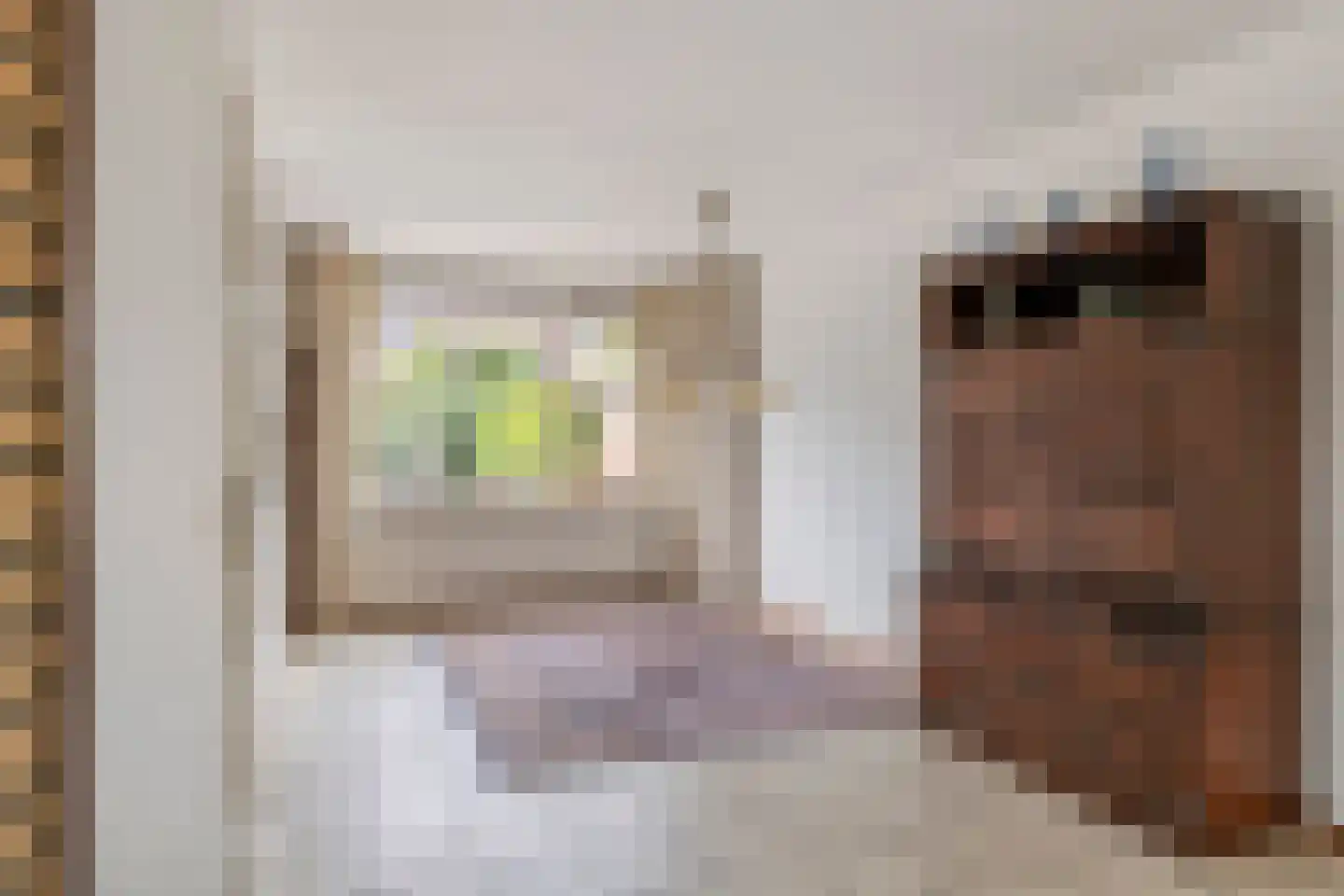 Bulkensteinlaan 4 Tiel thumbnail 12