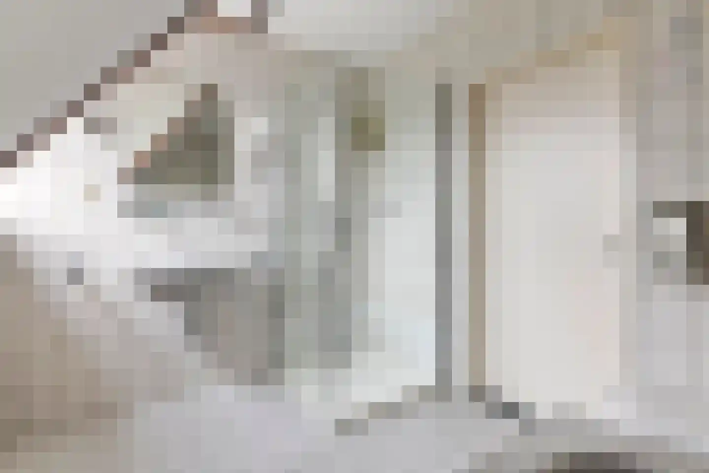 Bulkensteinlaan 4 Tiel thumbnail 24