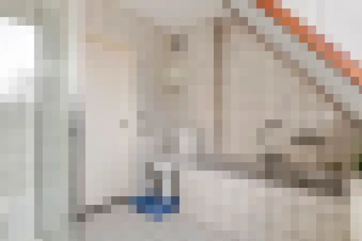 Bulkensteinlaan 4 Tiel thumbnail 25