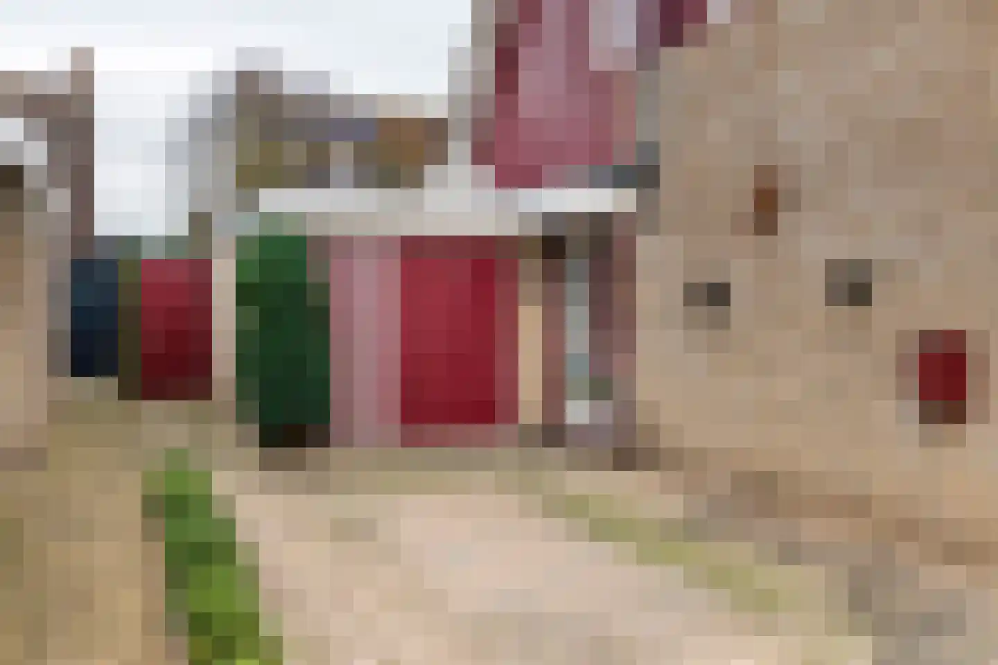 Bulkensteinlaan 4 Tiel thumbnail 5
