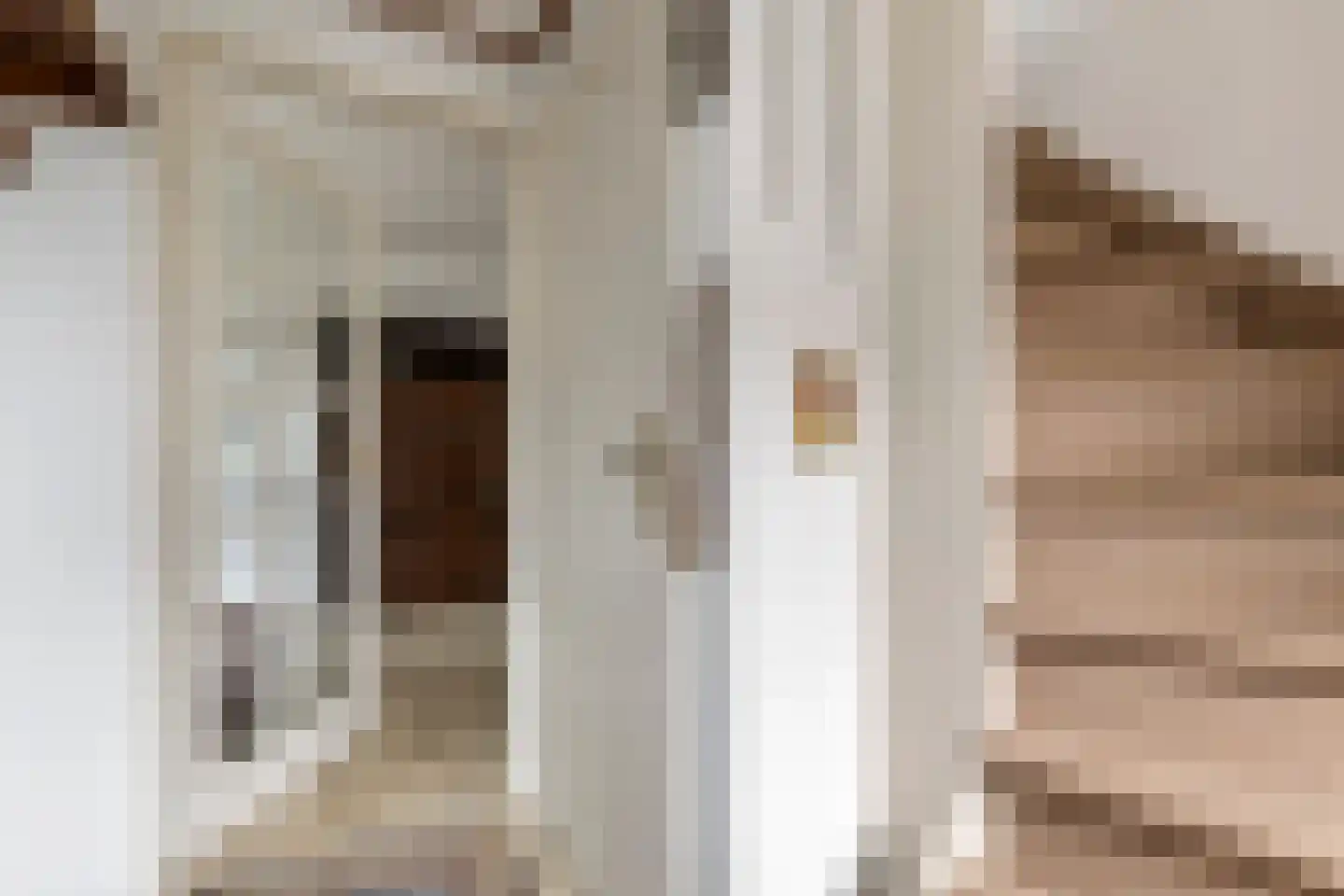 Bulkensteinlaan 4 Tiel thumbnail 6