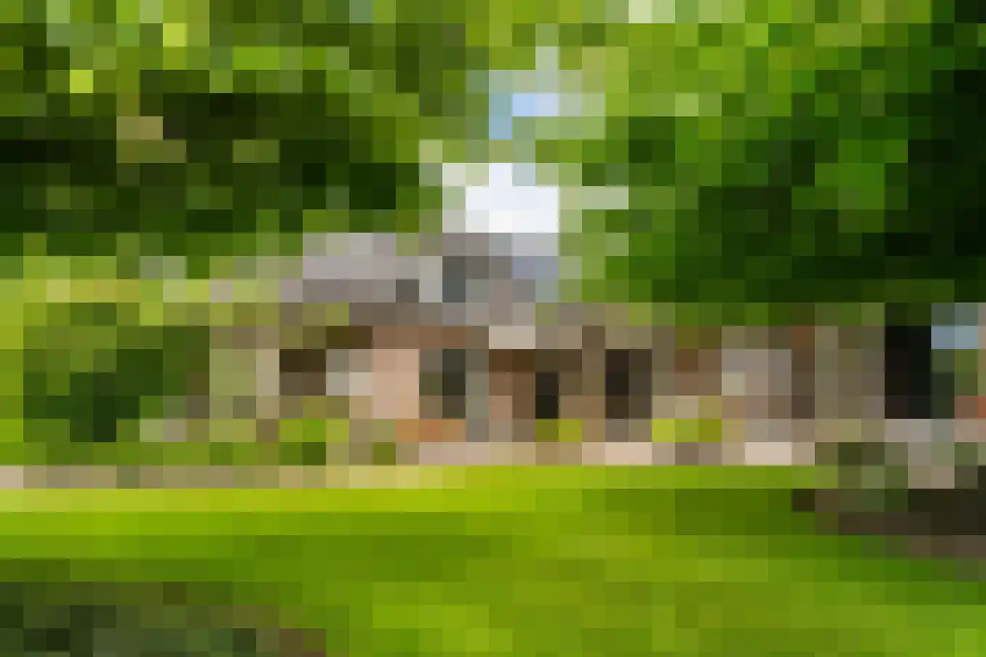 Bulkseweg 41 Kerkdriel thumbnail 52