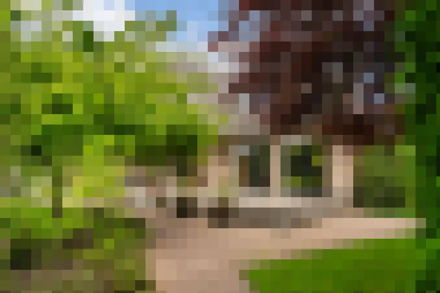 Bulkseweg 41 Kerkdriel thumbnail 53