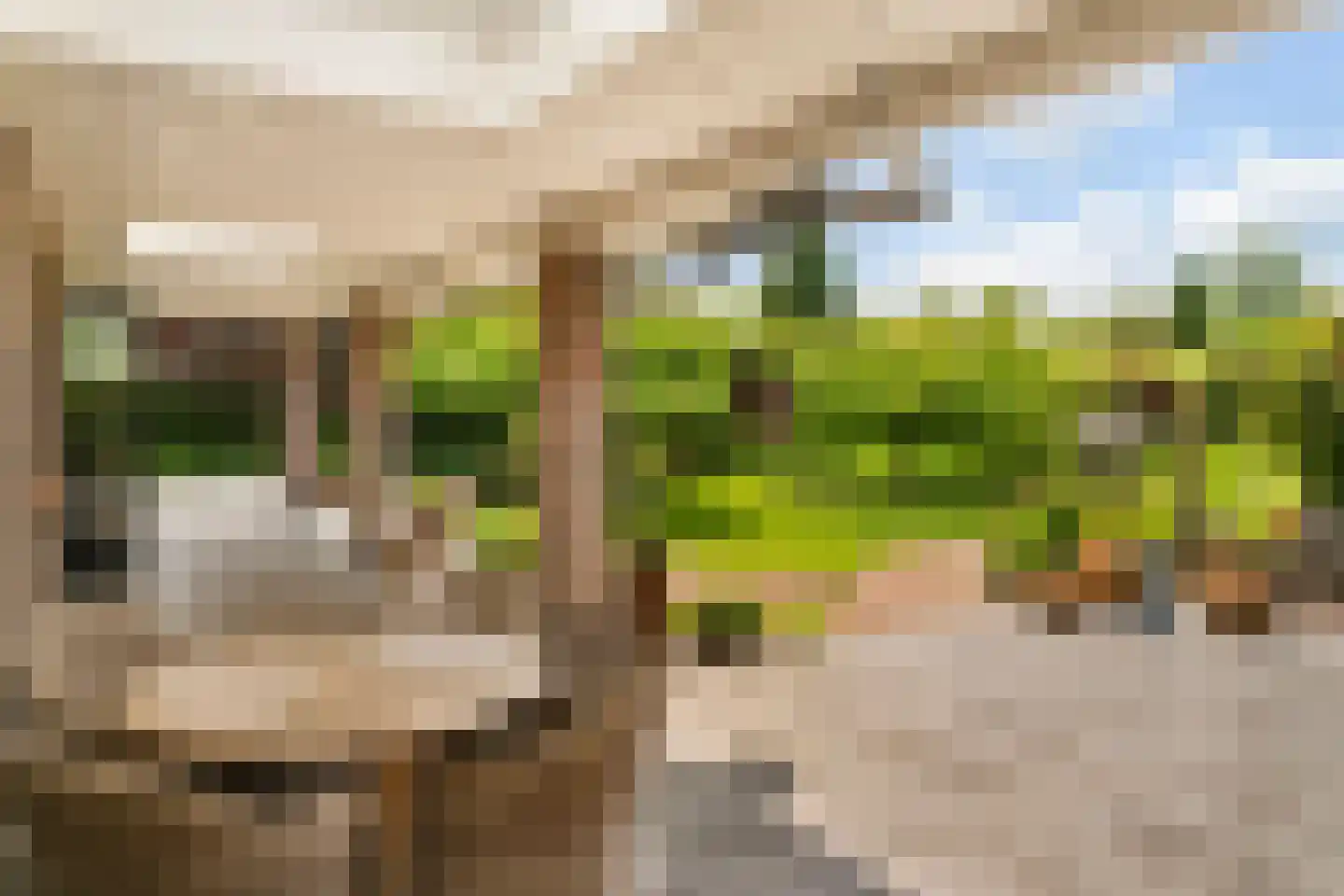 Bulkseweg 41 Kerkdriel thumbnail 55