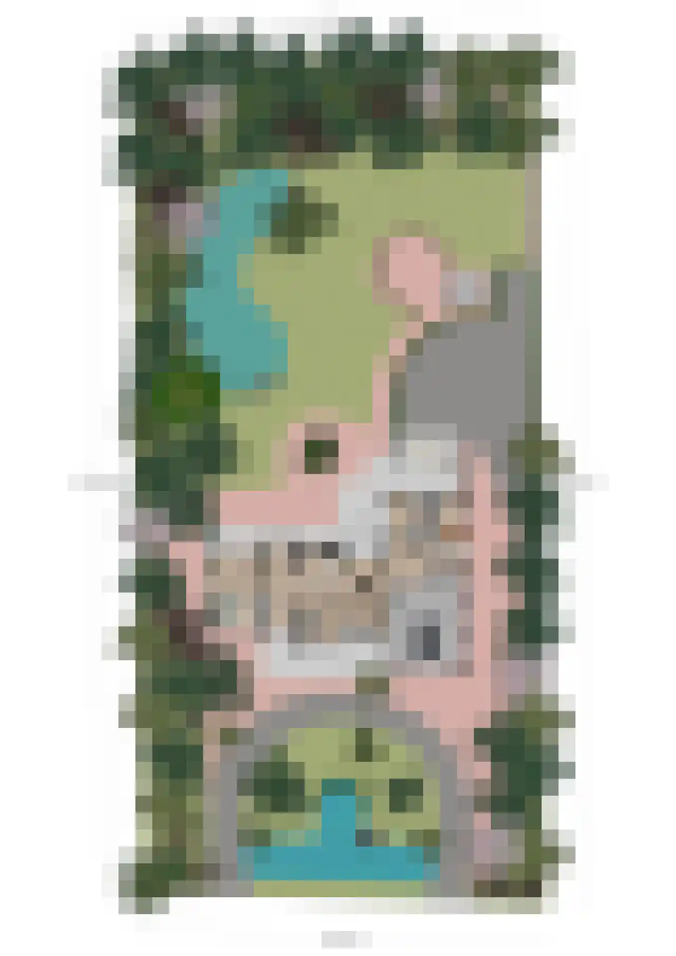 Bulkseweg 41 Kerkdriel thumbnail 67