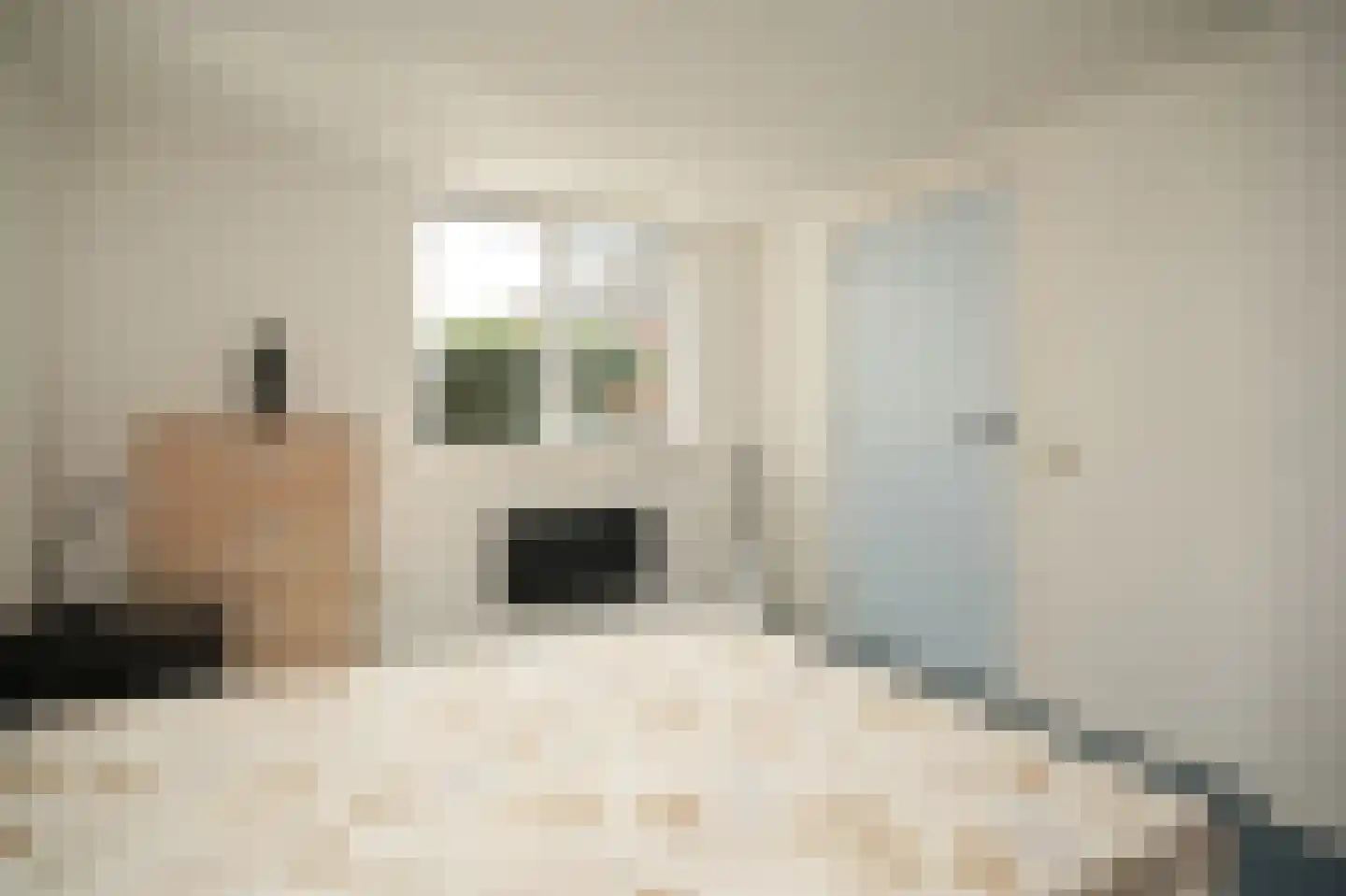 Bulkstraat 10 Genderen thumbnail 20
