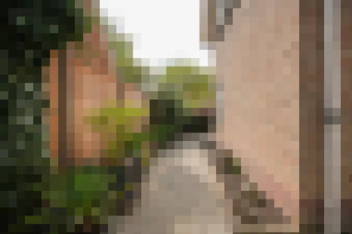 Bulkstraat 10 Genderen thumbnail 32