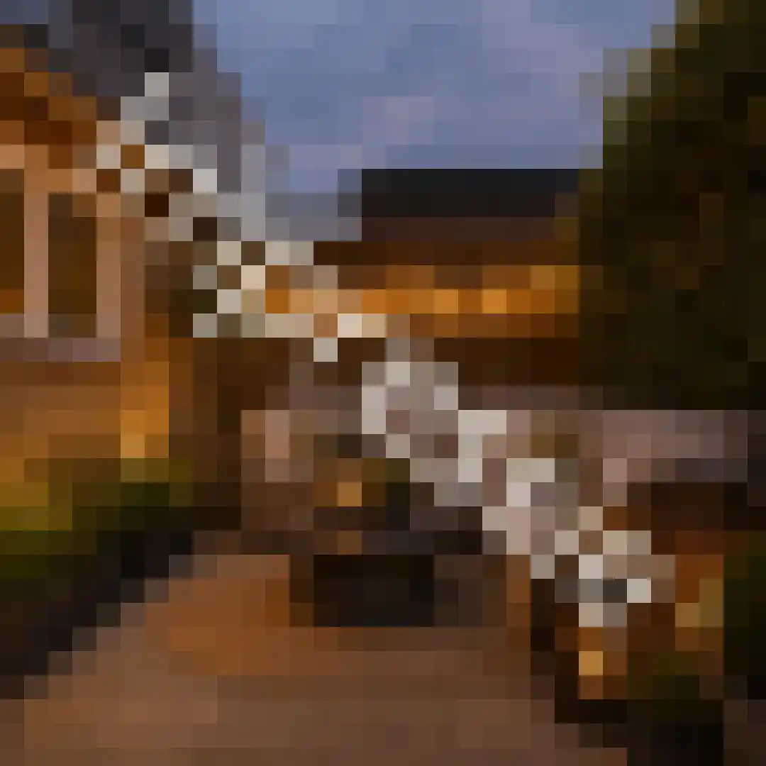 Bulkstraat 10 Genderen thumbnail 37